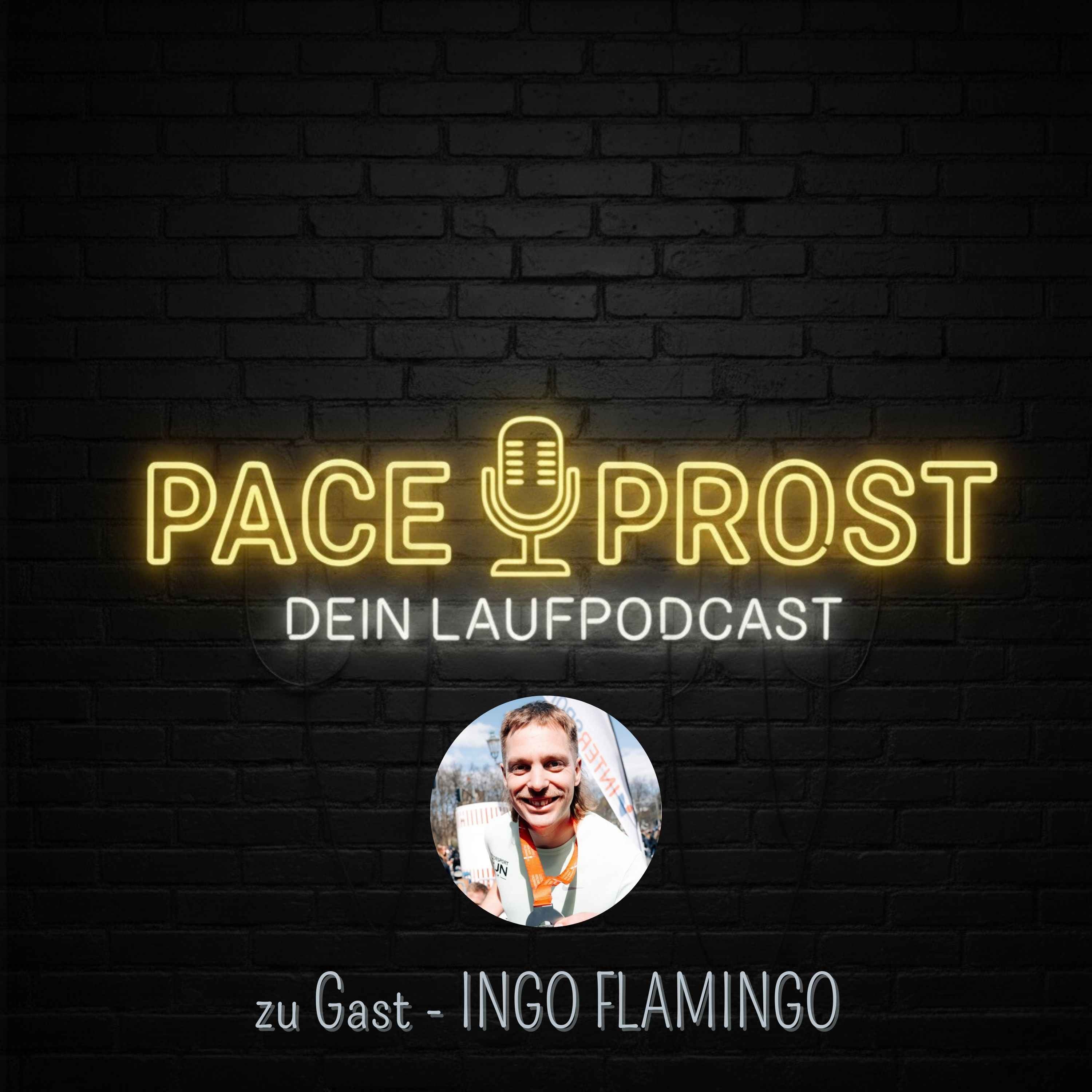 72 Kilometer durchs Dorf – mit Ingo Flamingo