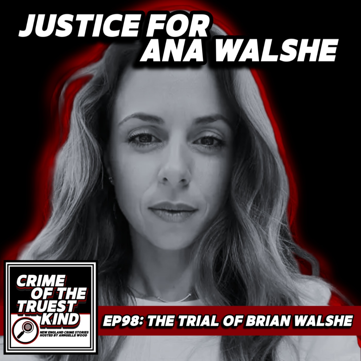Justice for Ana Walshe: The Trial of Brian Walshe episode artwork
