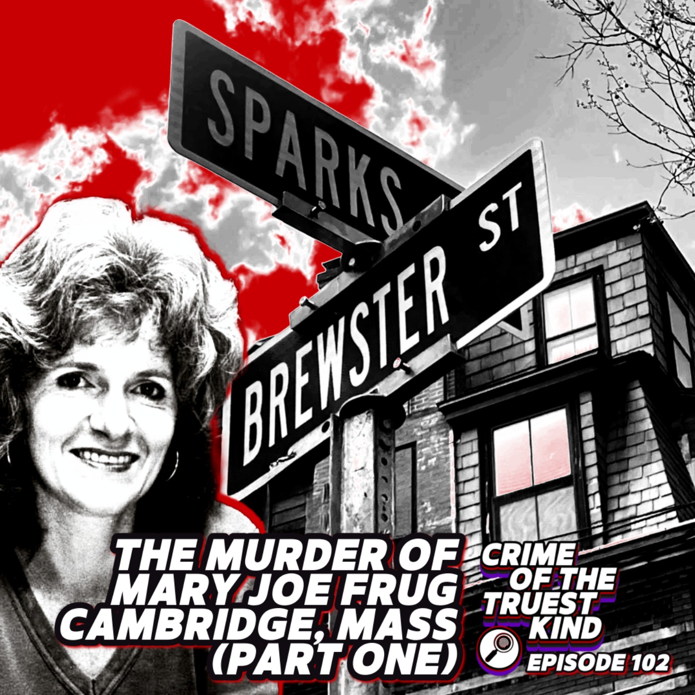 The Unsolved Murder of Mary Joe Frug, Cambridge, Massachusetts (part one) episode artwork
