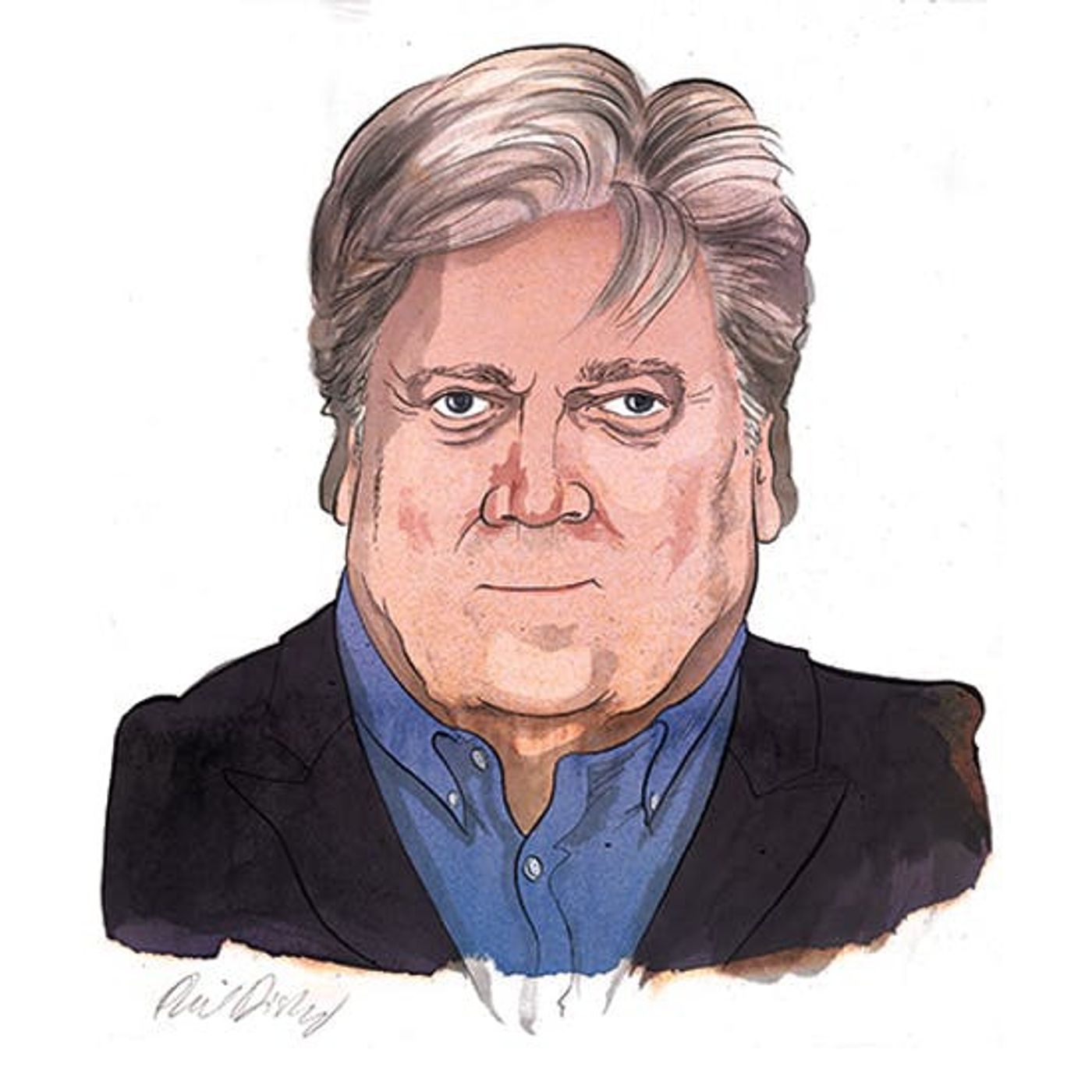 Who really is Steve Bannon, and what is he up to?