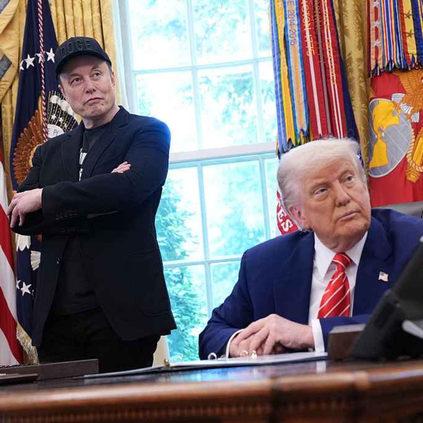 Americano: did the swamp drain Elon Musk?