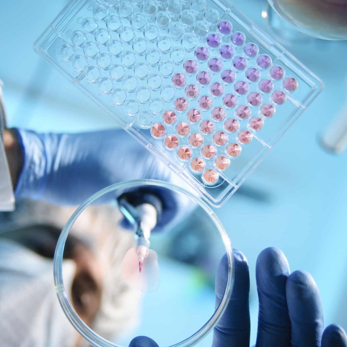 A vision for the future: Can Britain become a biotech superpower?