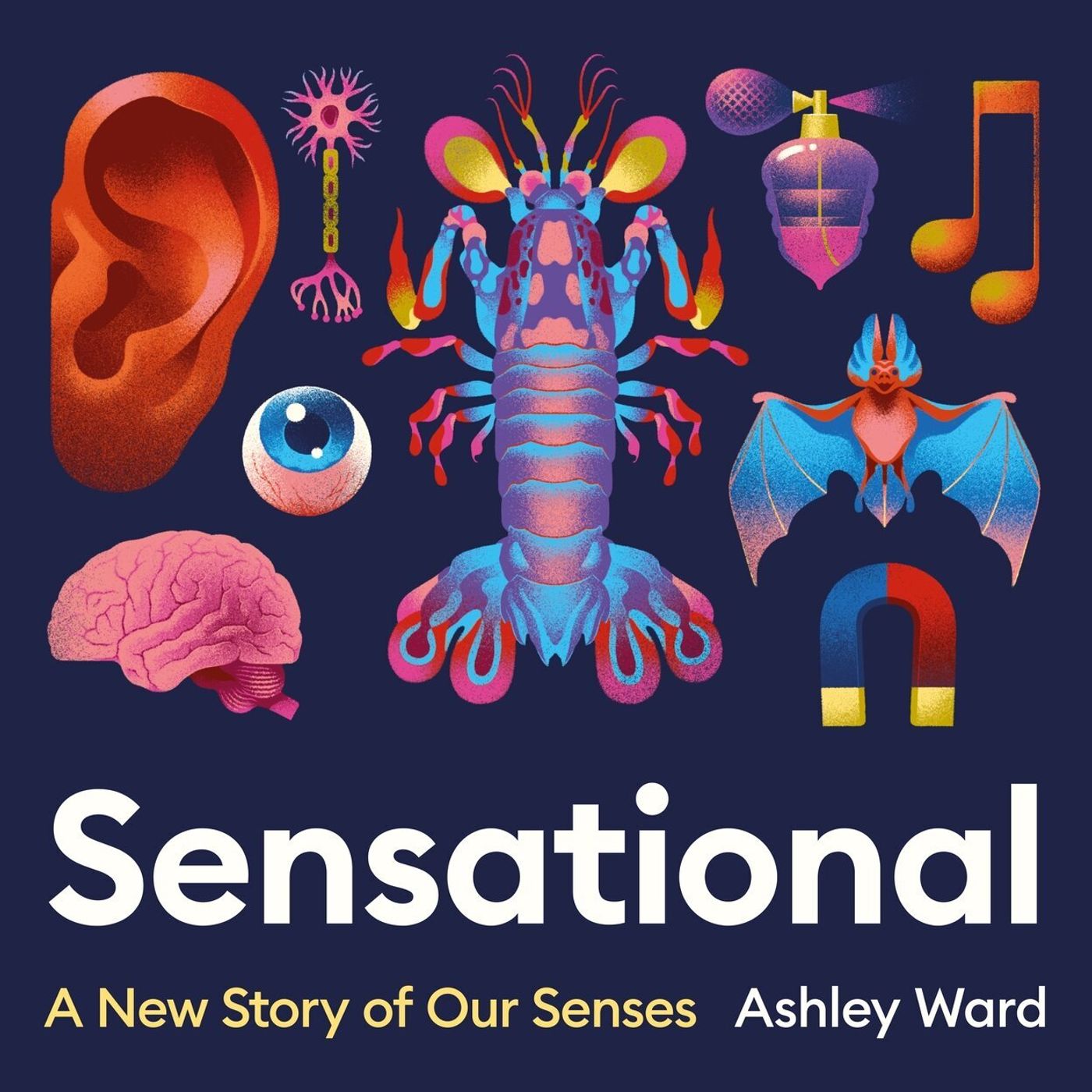 The Book Club: Ashley Ward
