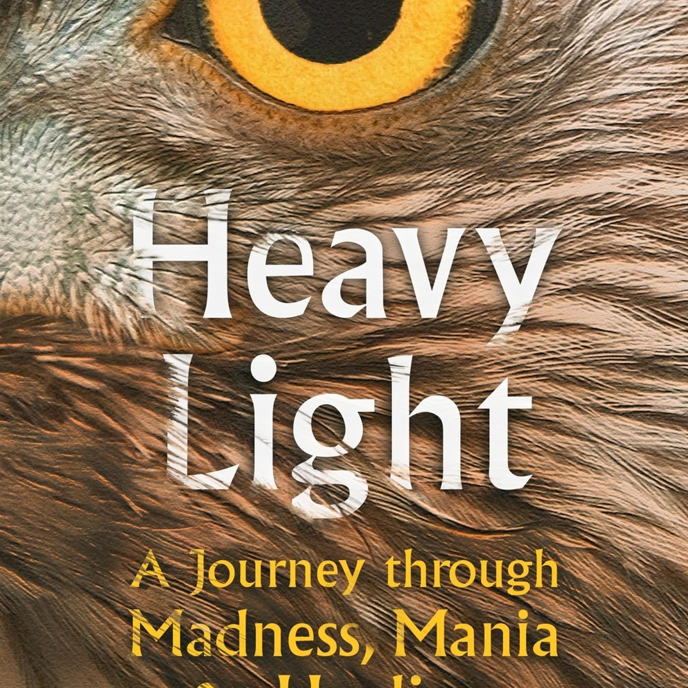 The Book Club: Heavy Light