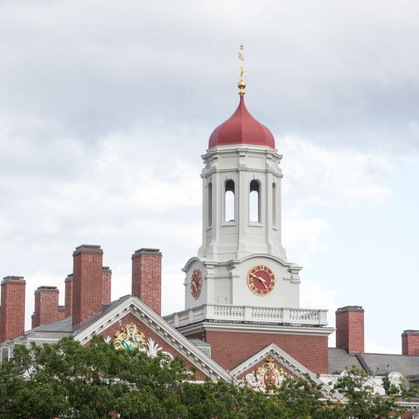 Americano: is university the enemy of American progress?