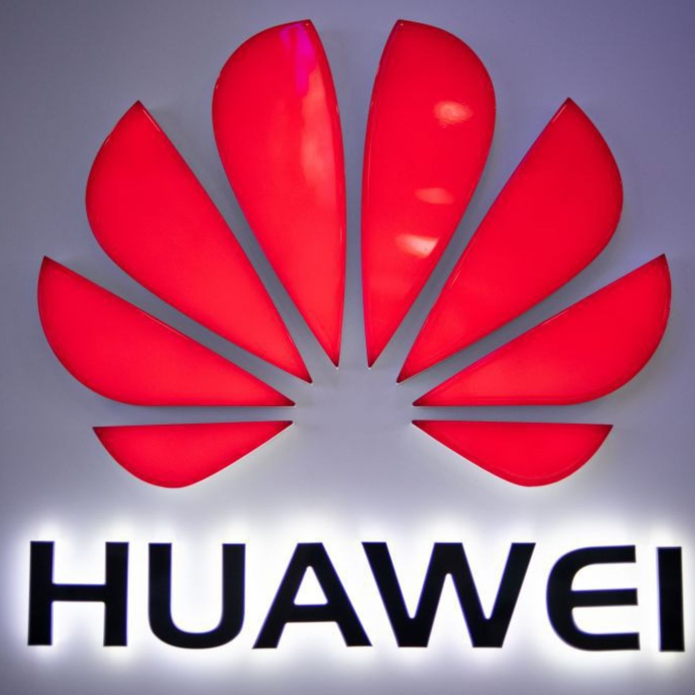 Coffee House Shots: Decision week - will Boris give Huawei the green light?
