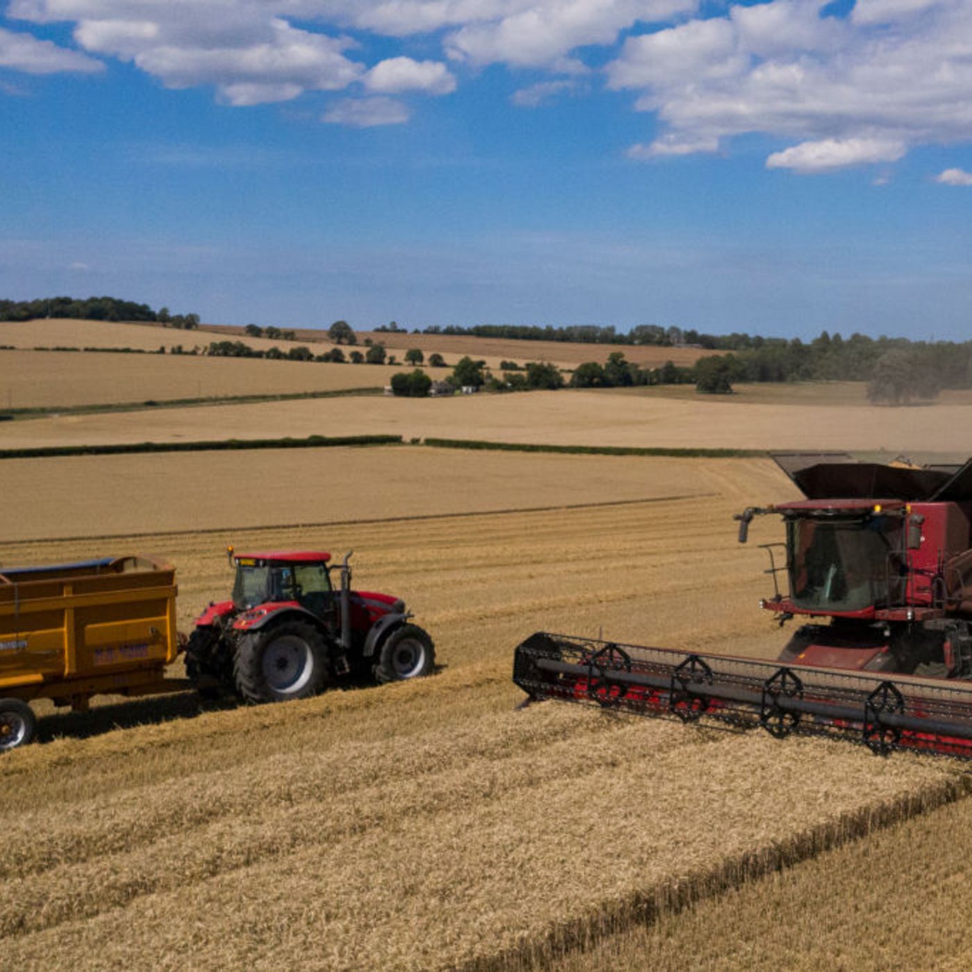 Podcast special: Is British farming fit for the future?
