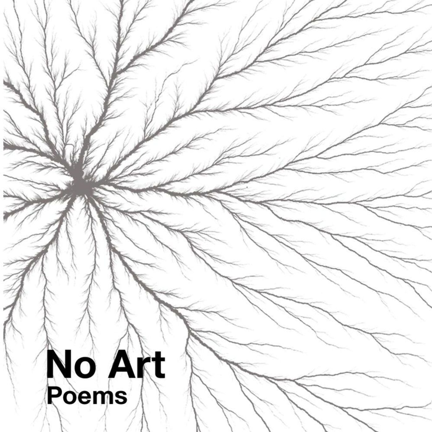 The Hatred of Poetry: Ben Lerner on the problem of verse episode artwork