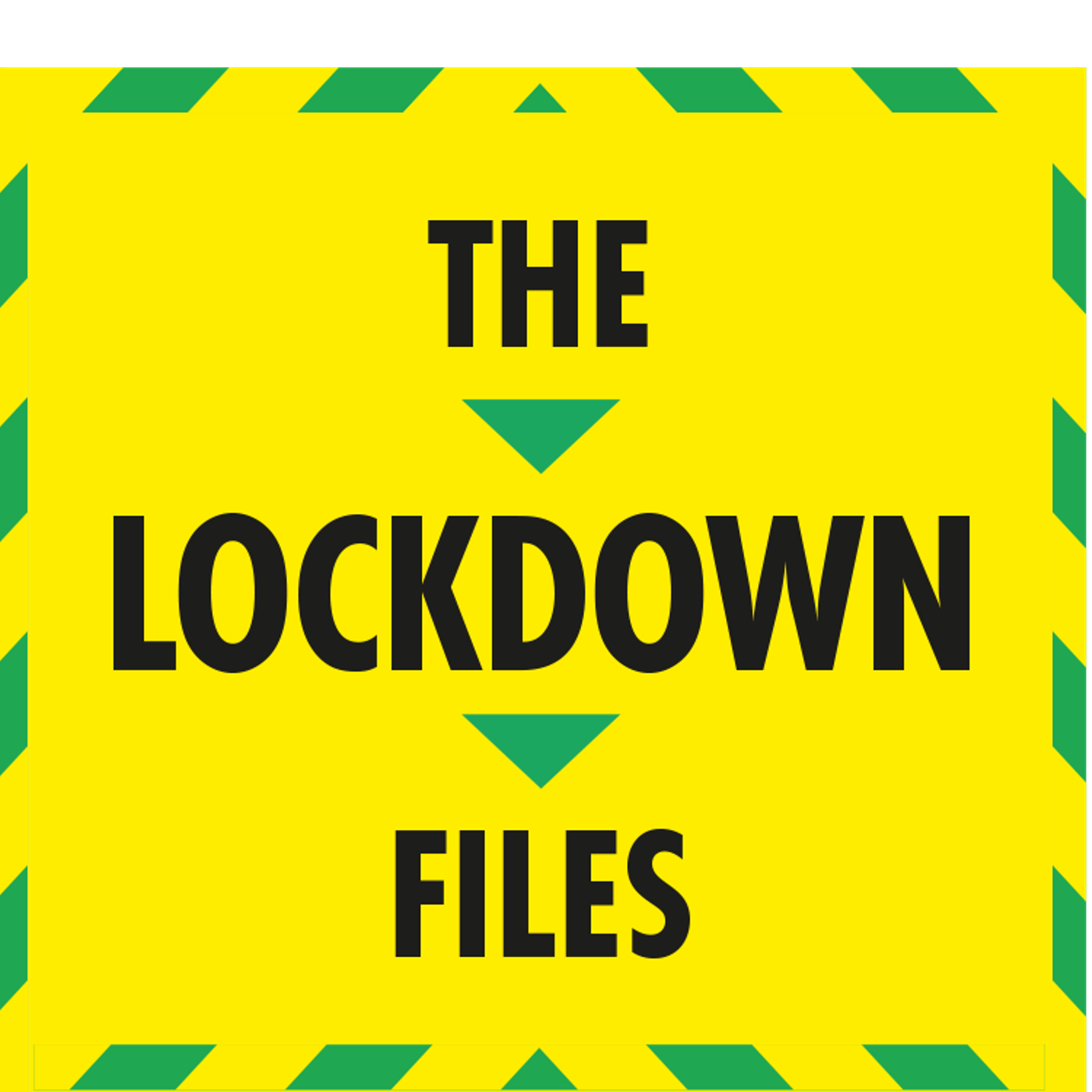Lockdown files: what we weren't told