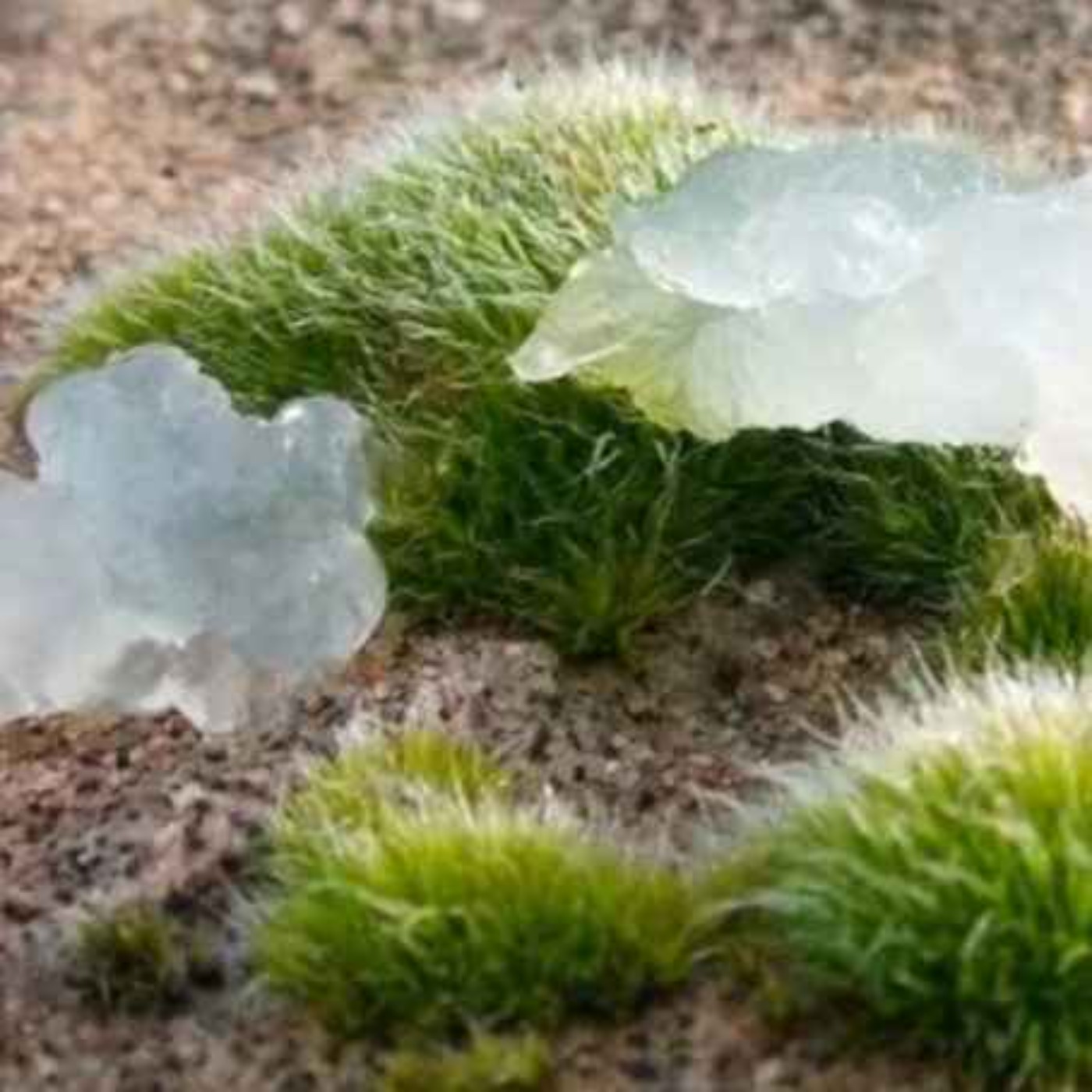 Mysteries at Bedtime