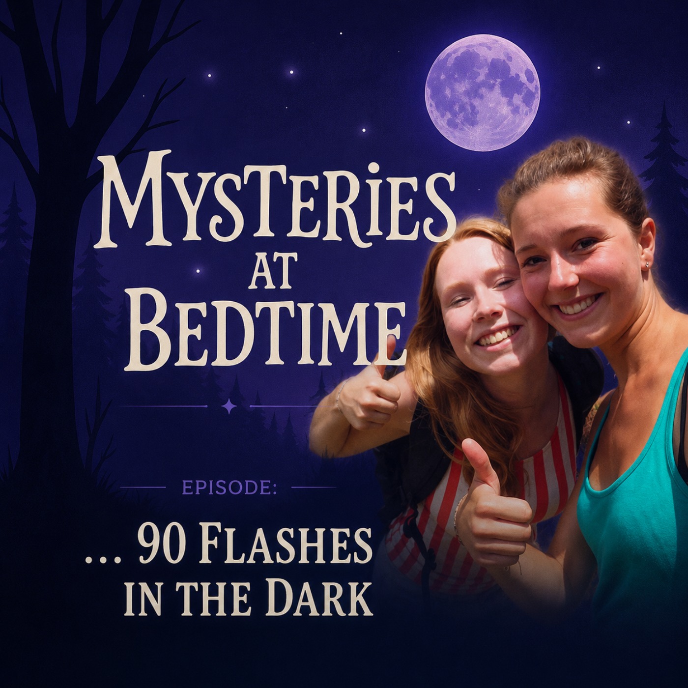 Ninety Flashes in the Dark: The Disappearance of Kris Kremers and Lisanne Froon episode artwork