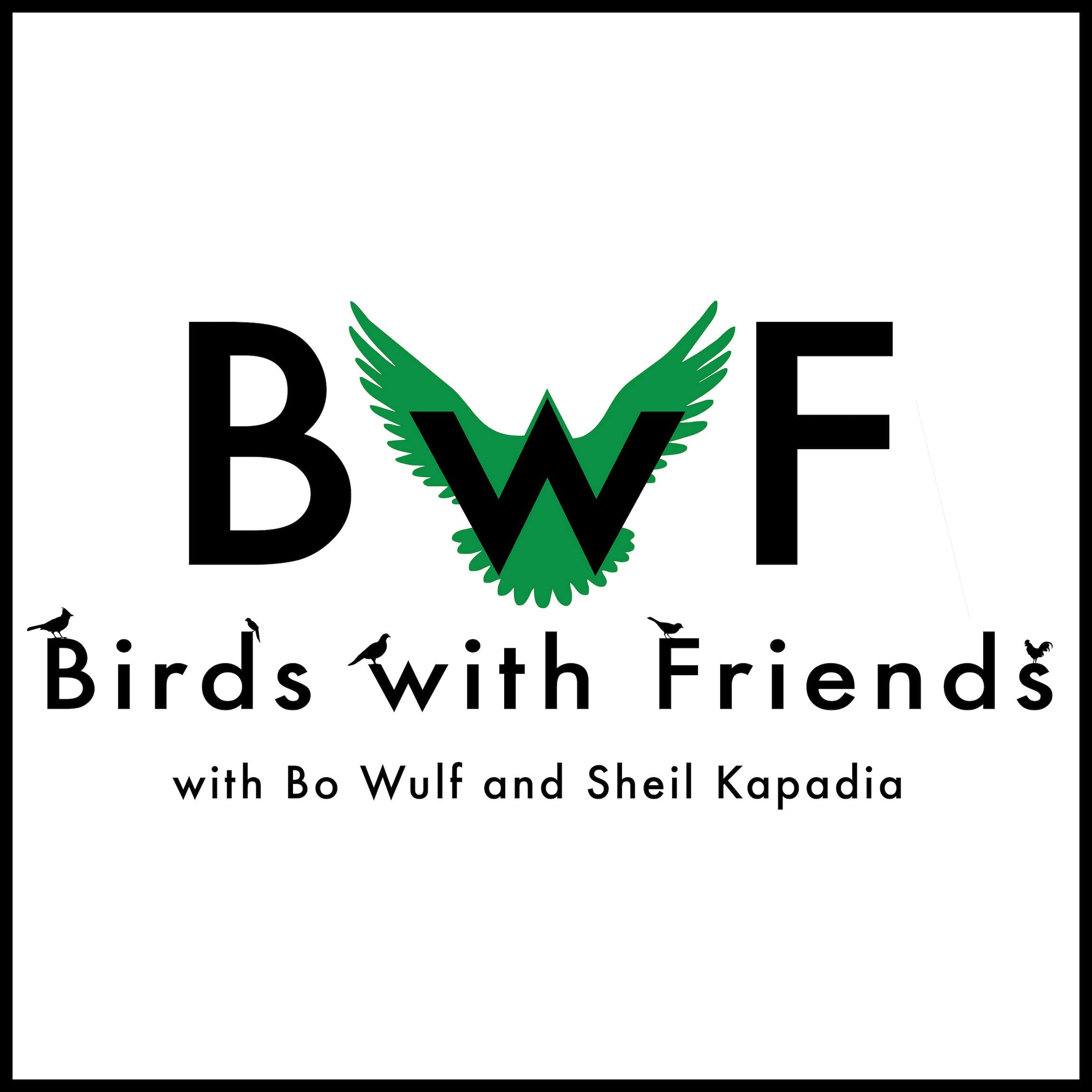 Birds With Friends: A show about the Philadelphia Eagles