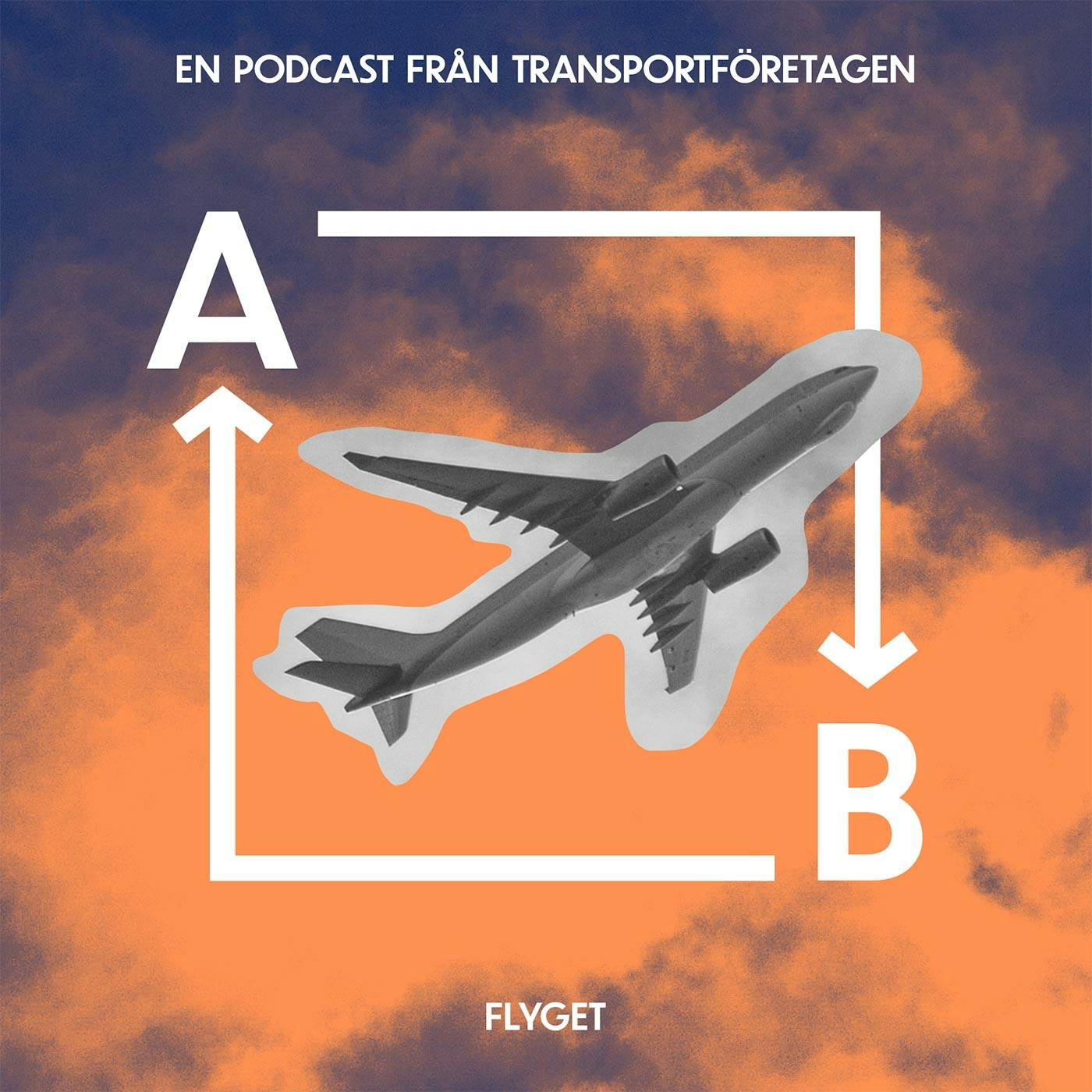 Avsnitt 3 av 4: Flyget – Miljardindustrin som tvingades landa