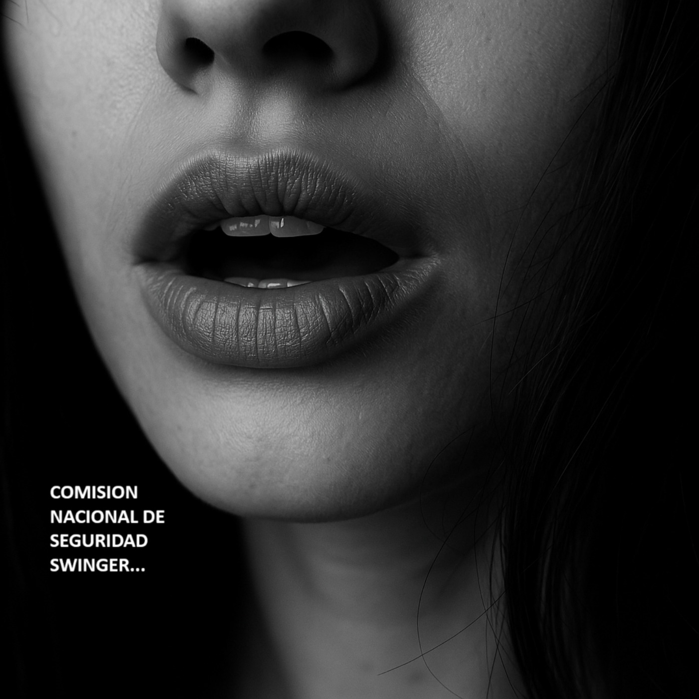 COMISION NACIONAL DE SEGURIDAD SWINGER COMISION NACIONAL DE SEGURIDAD SWINGER