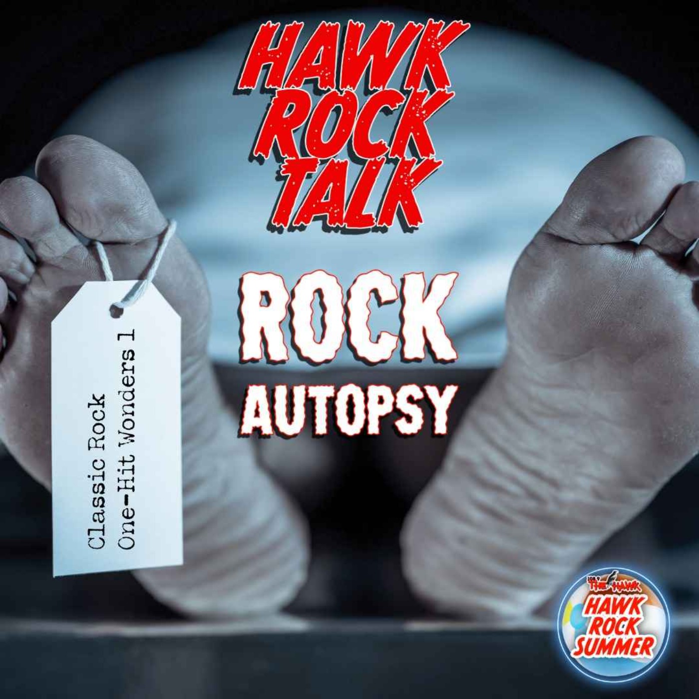 Hawk Rock Talk: Rock Autopsy: Classic Rock One Hit Wonders 1