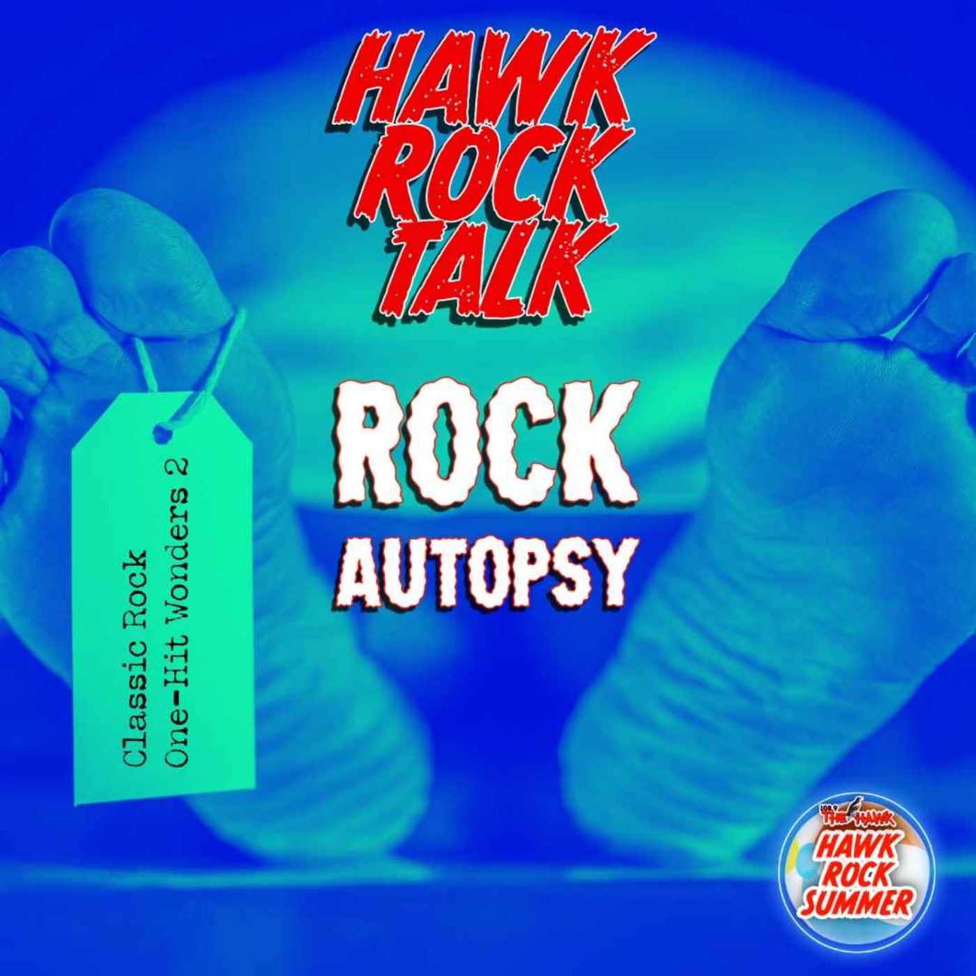 Hawk Rock Talk: Rock Autopsy - Classic Rock One Hit Wonders, Volume 2