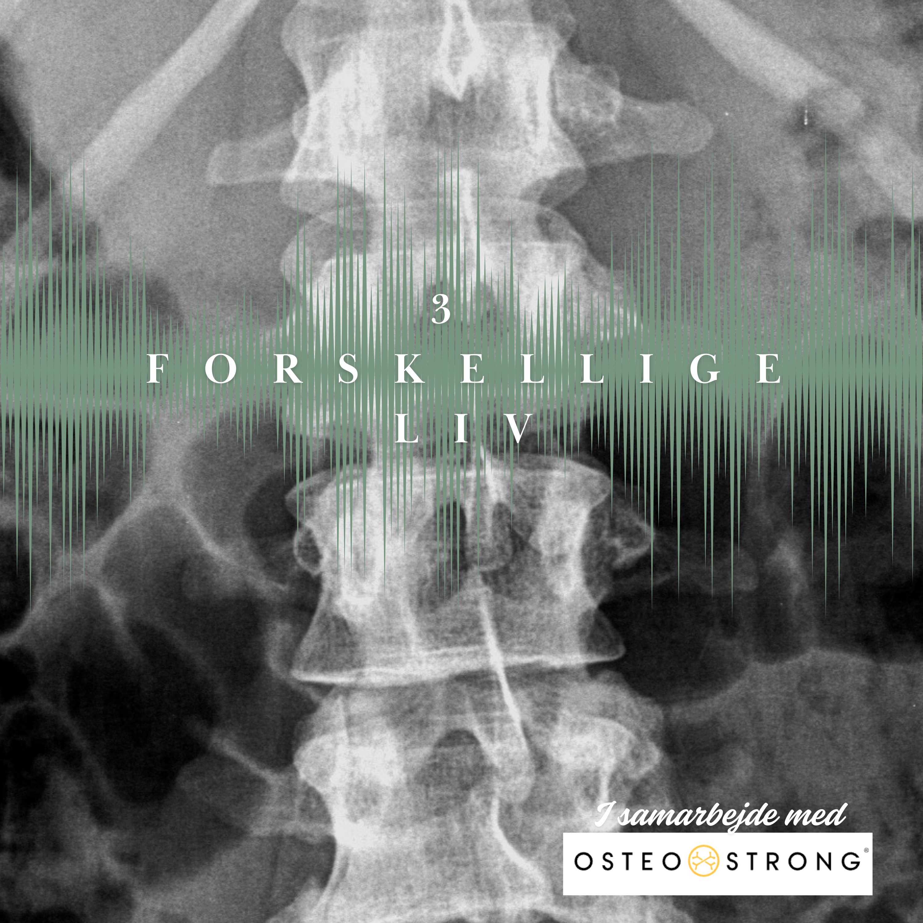 3 forskellige liv episode artwork