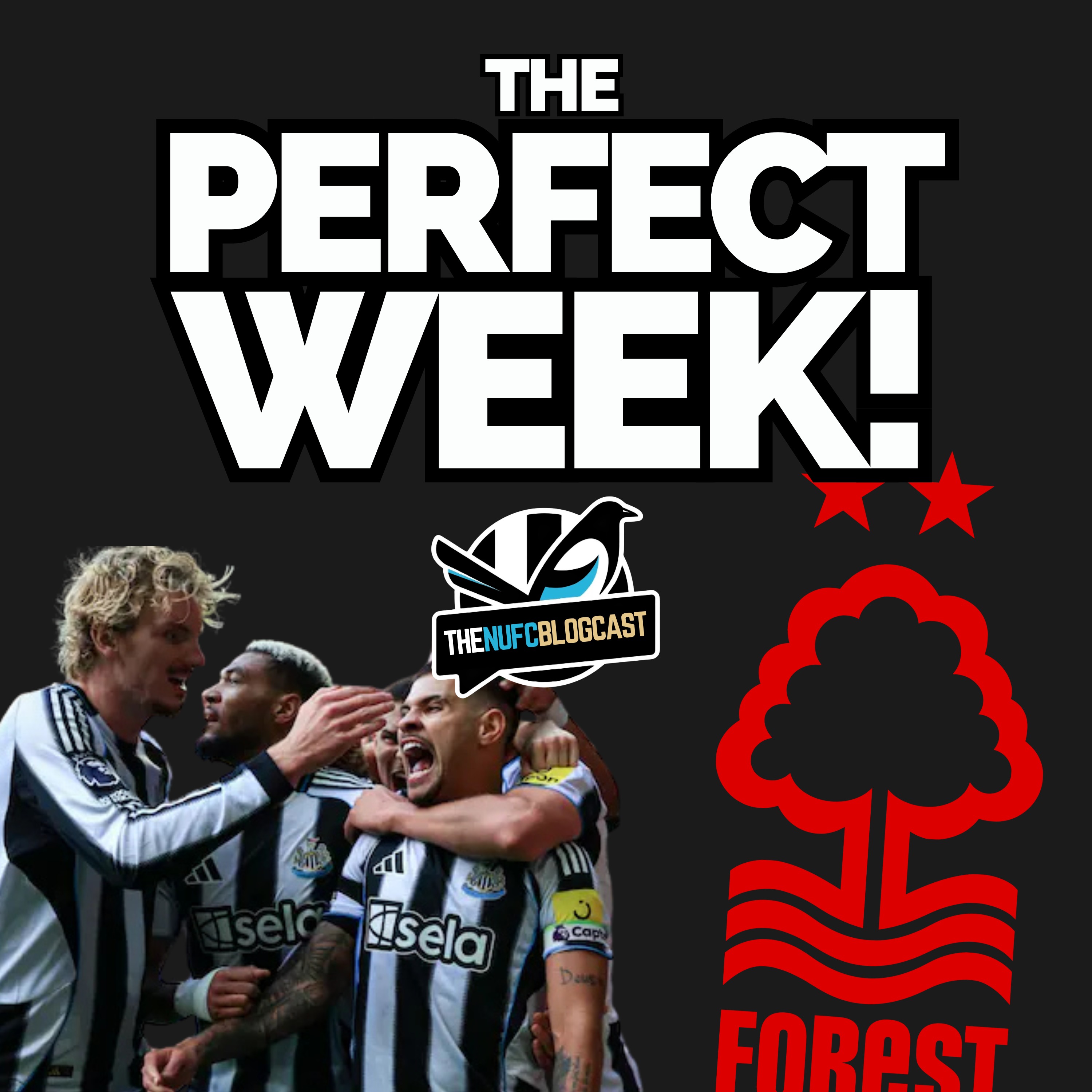 A perfect week? - Big win vs Forest, brilliant stats and injury latest