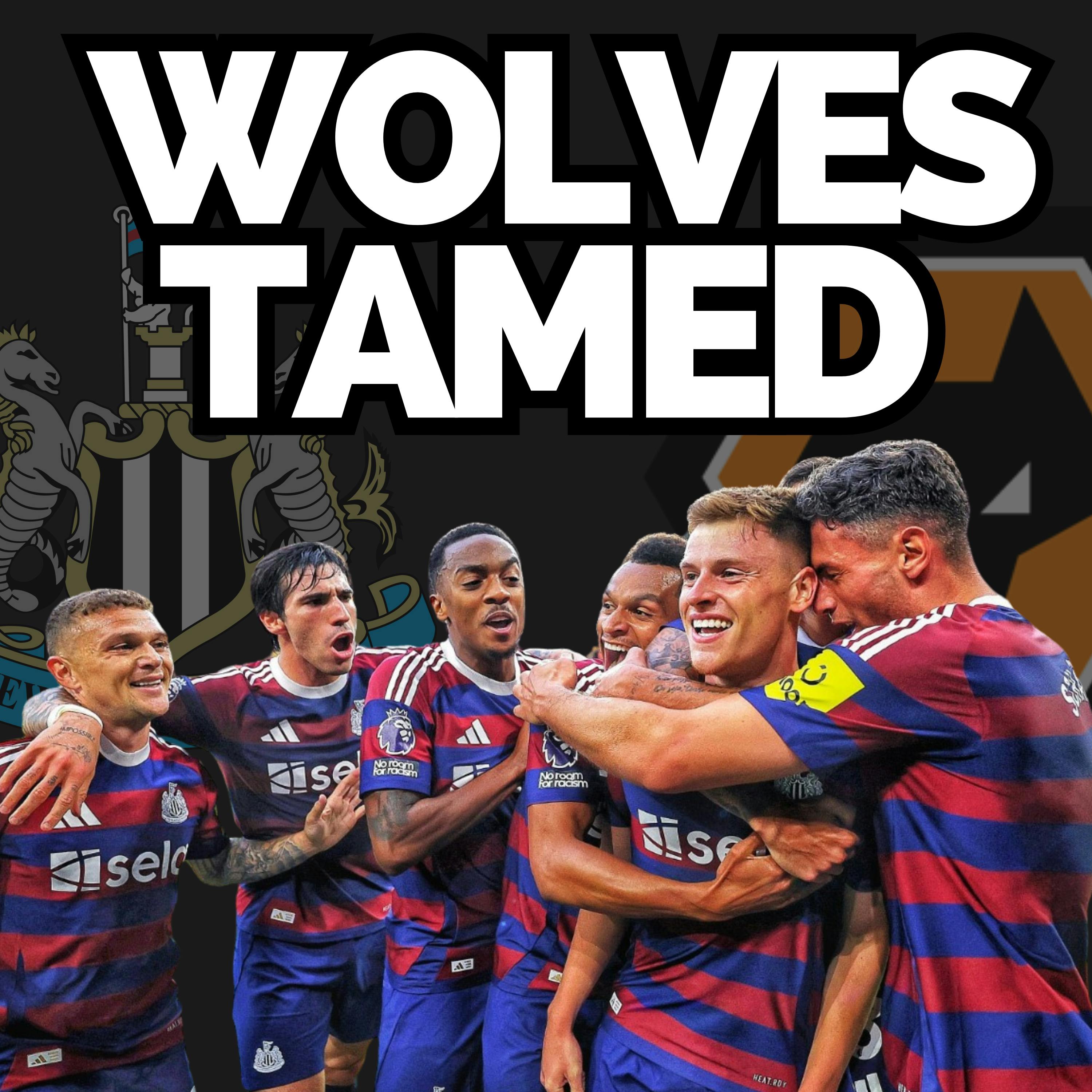 Barnes magic, early-season stats and positives/negatives from Wolves win episode artwork