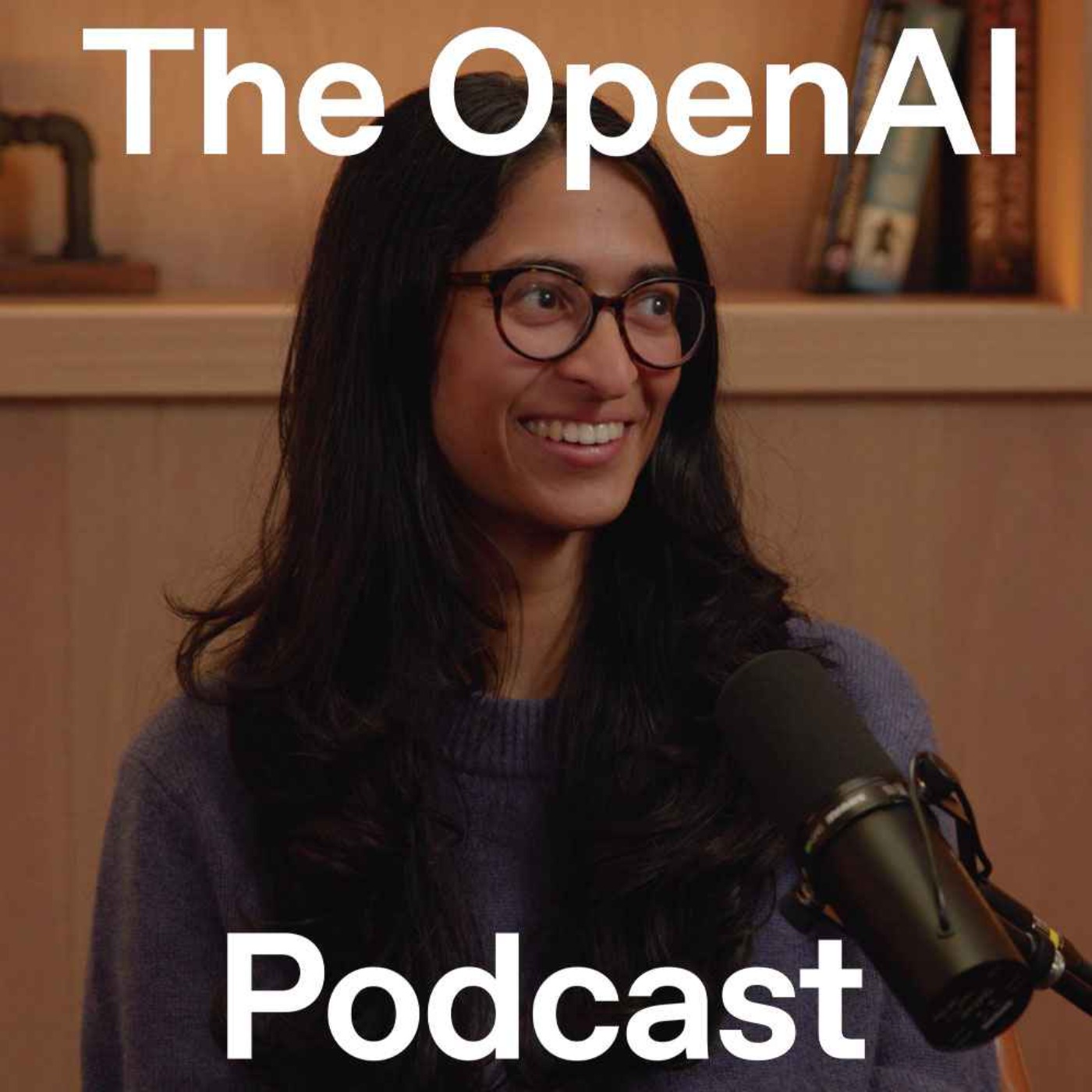 Why Tejal Patwardhan stopped underestimating the models - Episode 21 — OpenAI Podcast cover