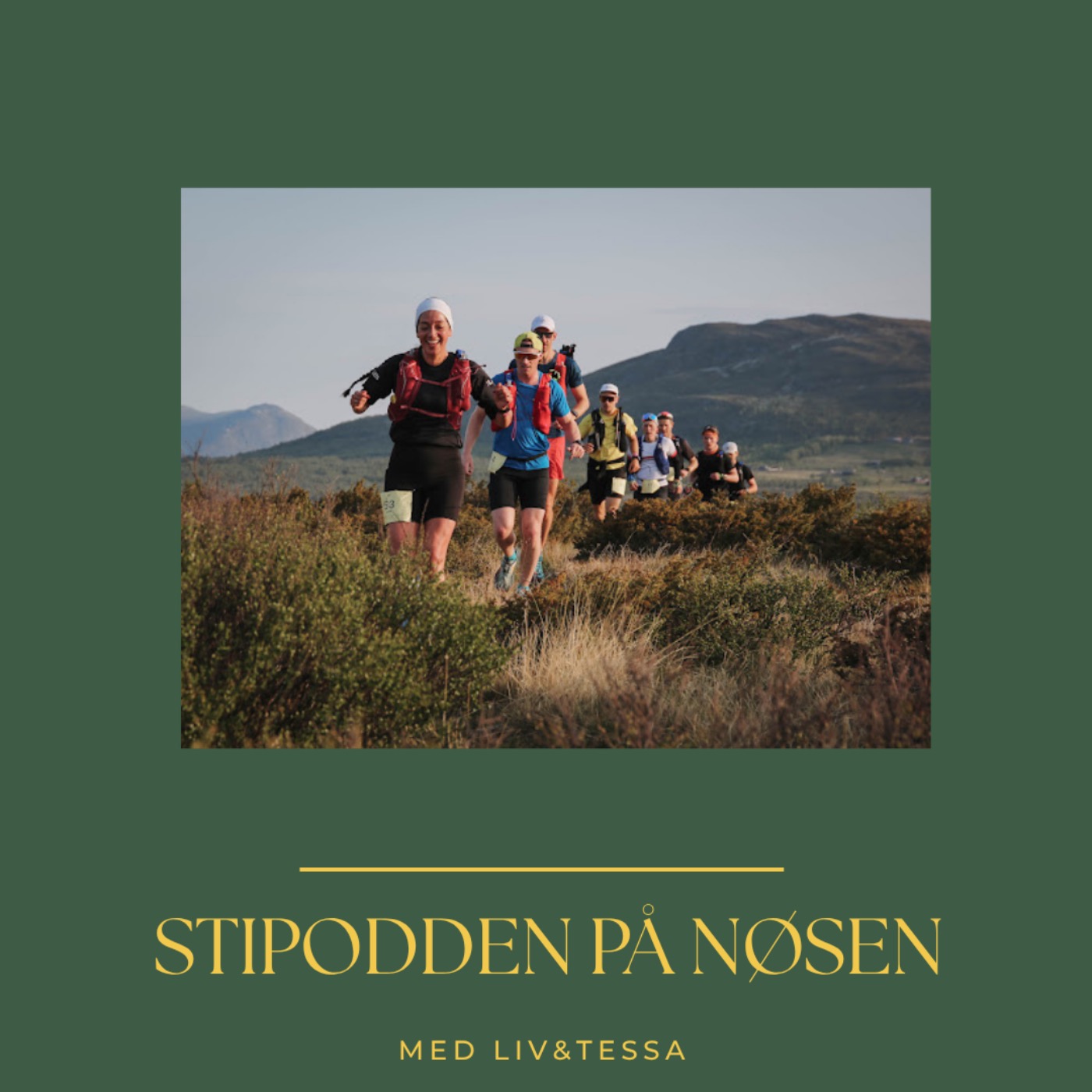 Stipodden tar pulsen på Nøsen Stipodden tar pulsen på Nøsen