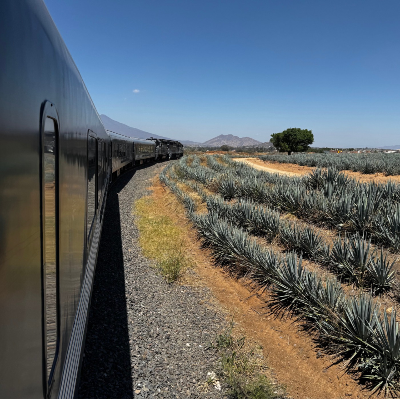 The Tequila Express: Mexico’s Booziest Train episode artwork