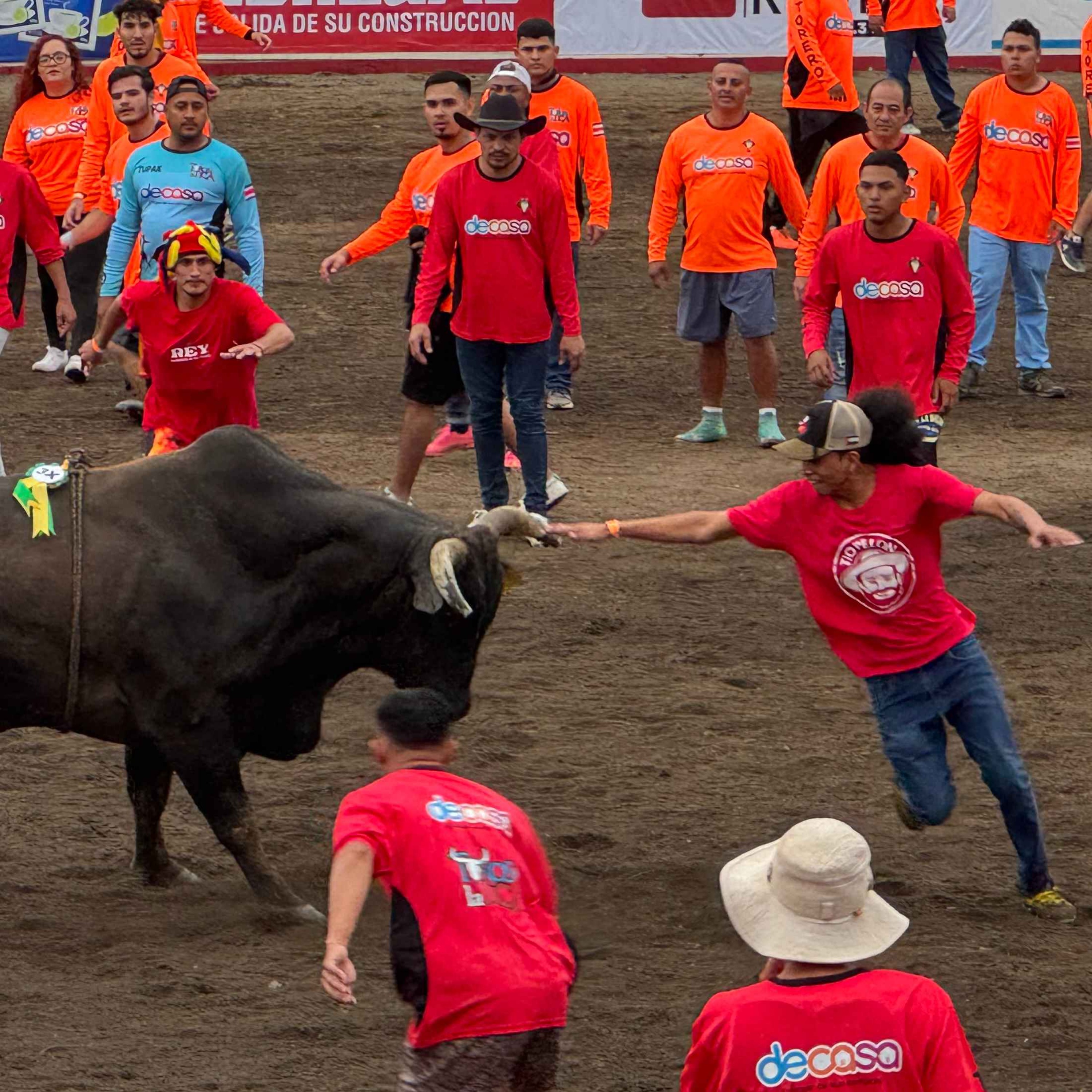 The Bulls Of San José: Costa Rica’s Amateur Bullfighters episode artwork