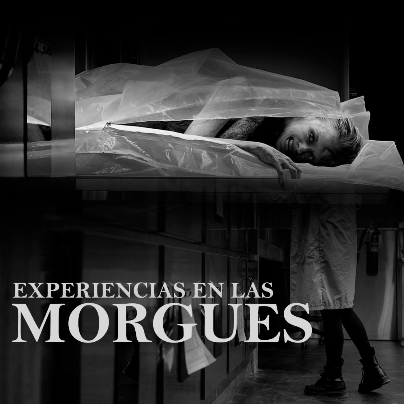 Momento Del Horror