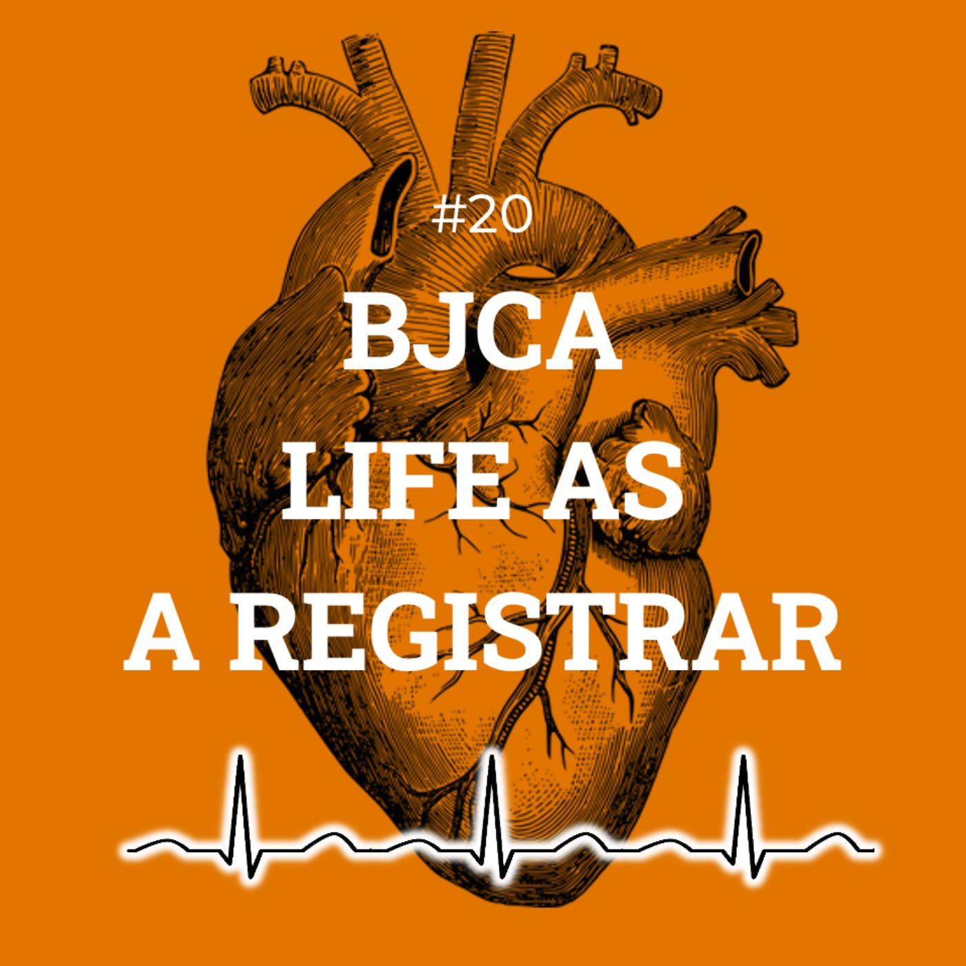 #20 BJCA Life as a registrar