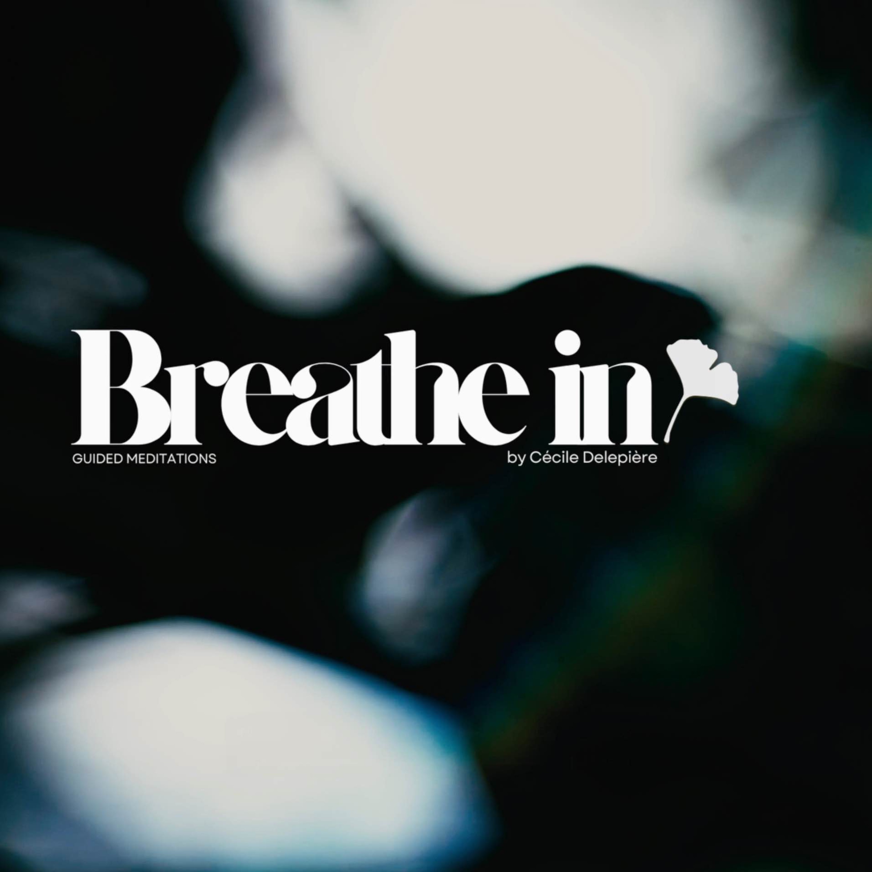 BREATHE IN | Grounding 彡
