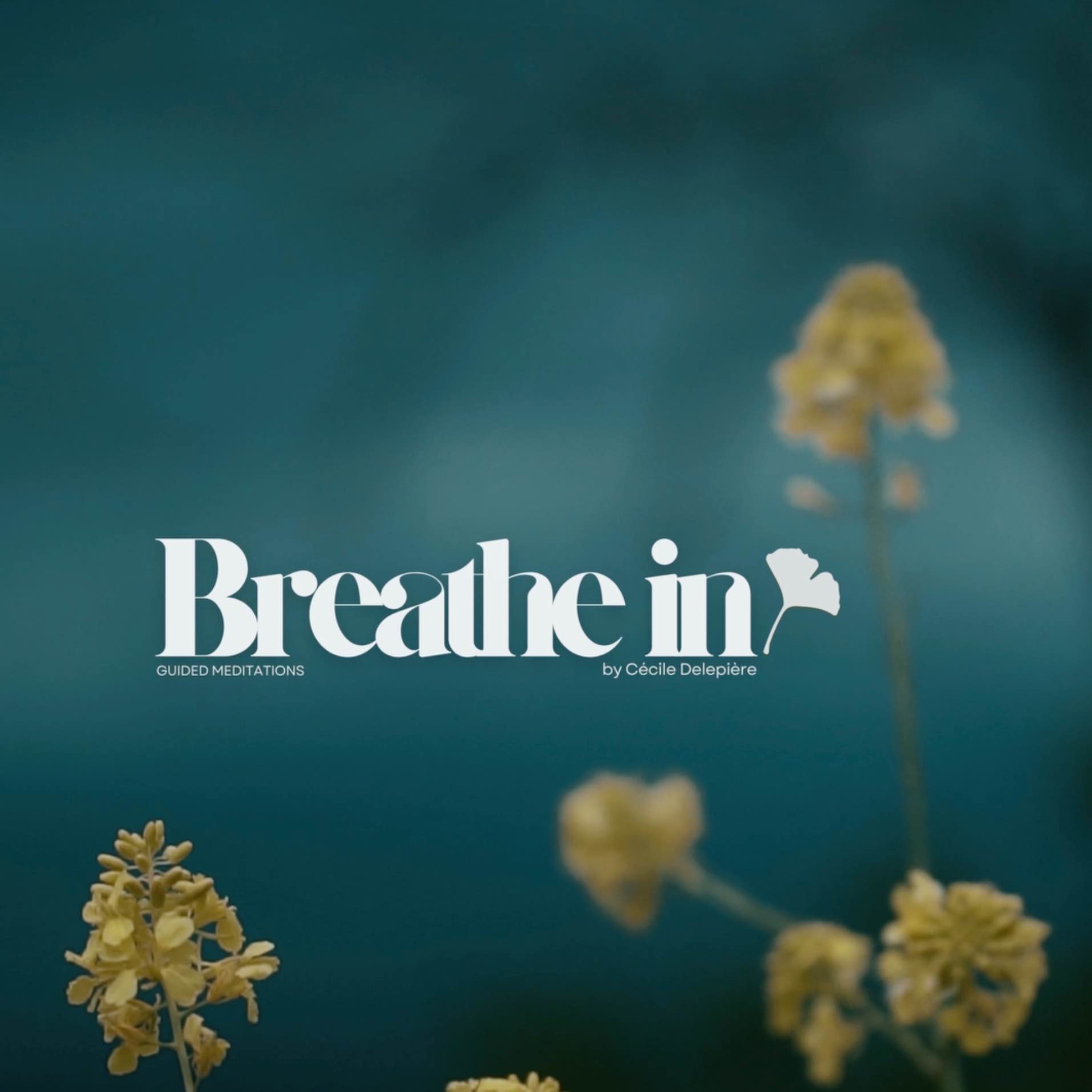 BREATHE IN | The Earth 彡