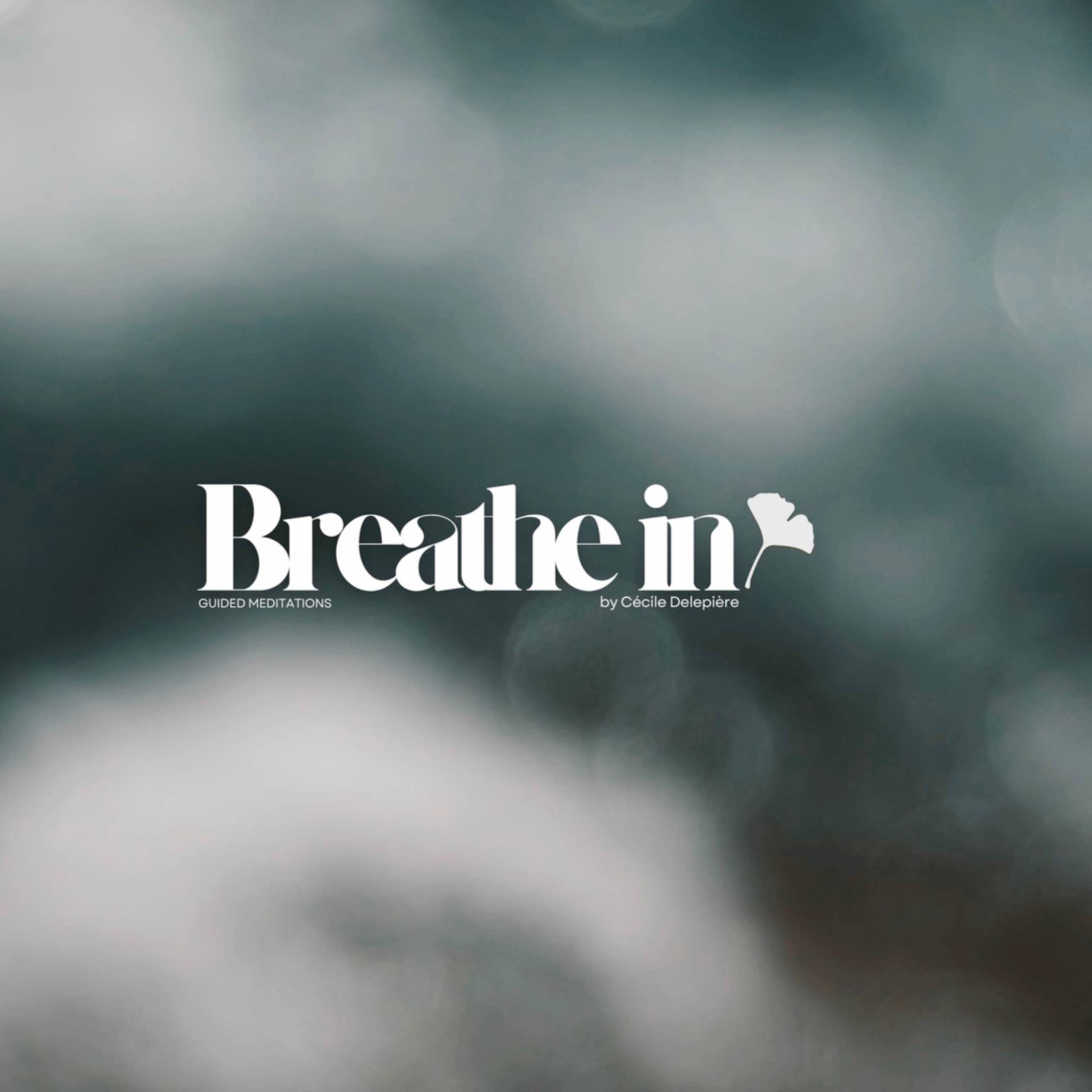 BREATHE IN | Remembrance 彡