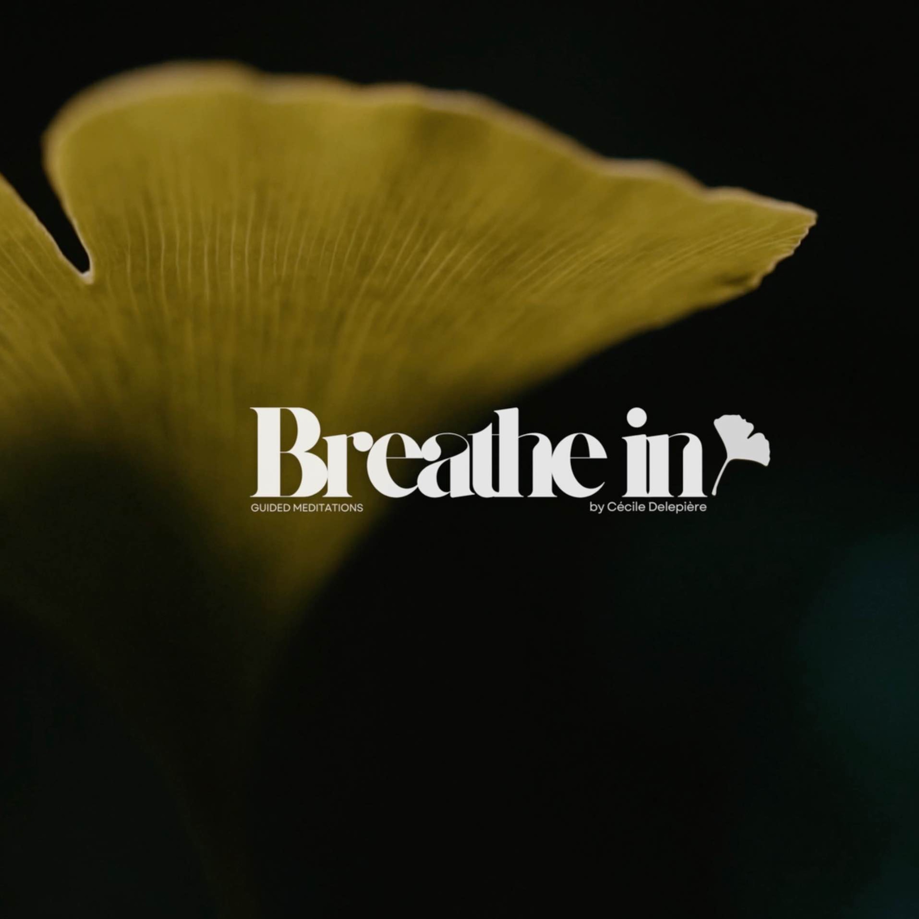 BREATHE IN | The Gingko 彡