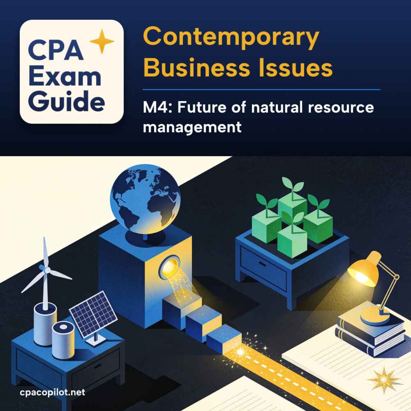 Contemporary Business Issues - Module 4