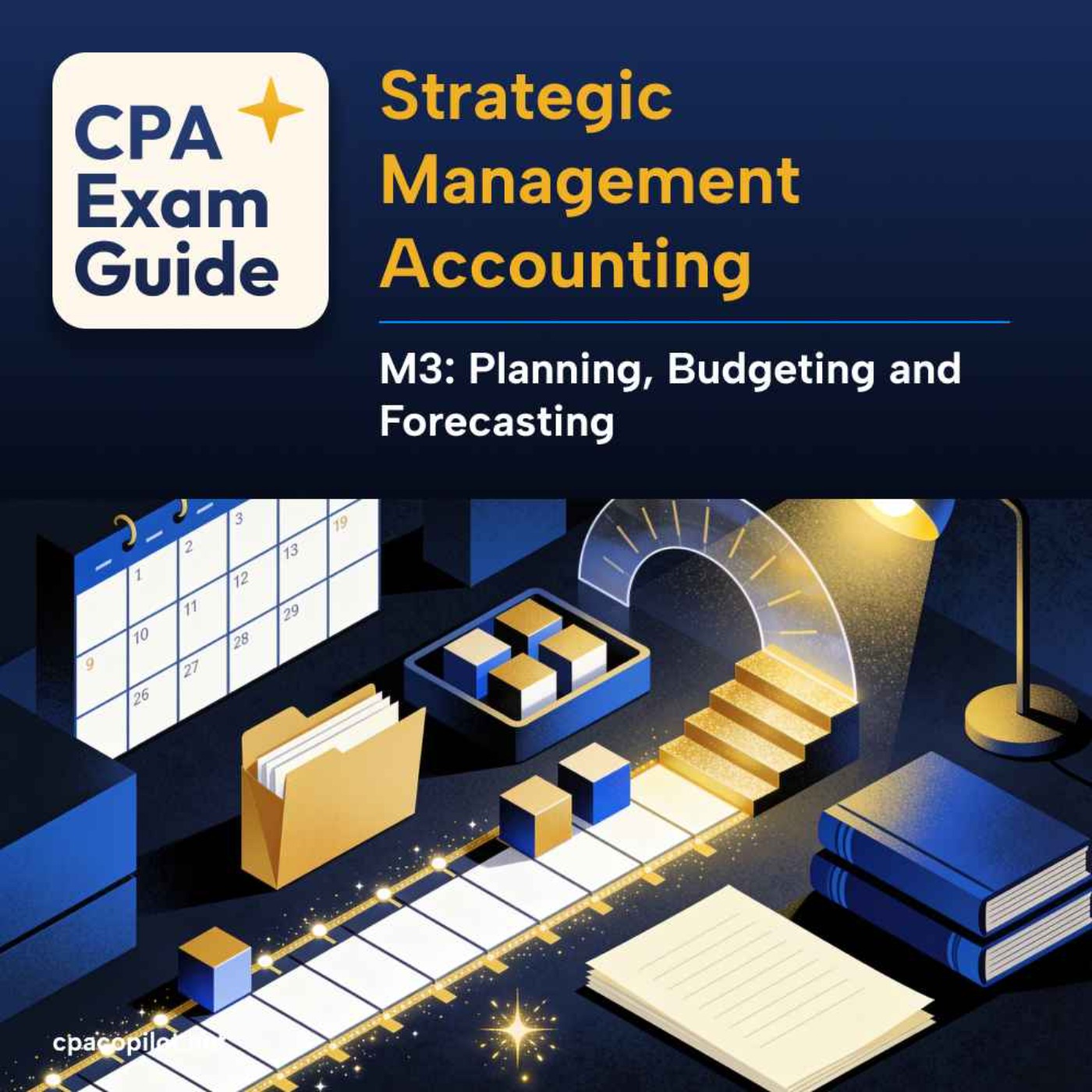 Strategic Management Accounting - Module 3