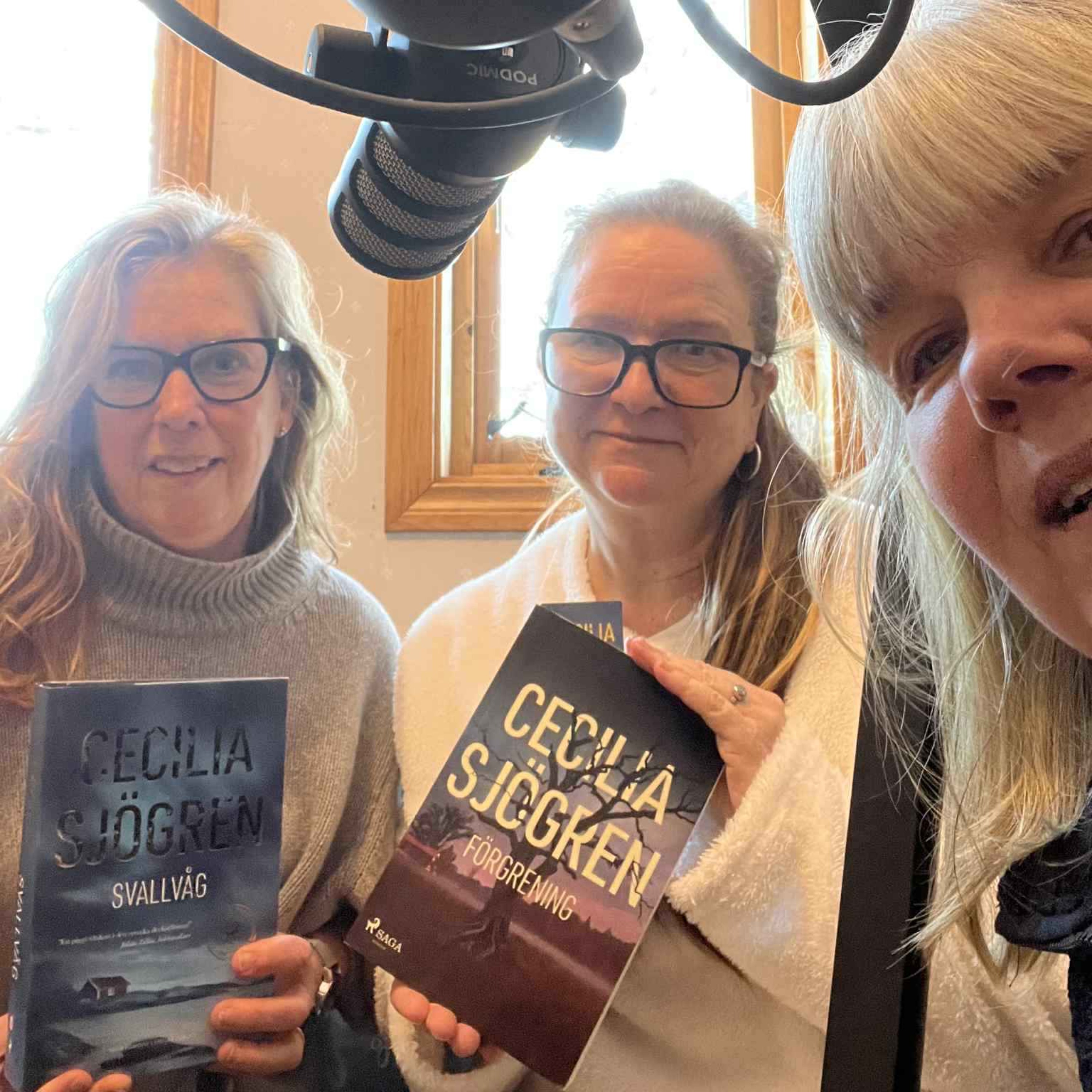 Röster i Roslagen - Det goda samtalet