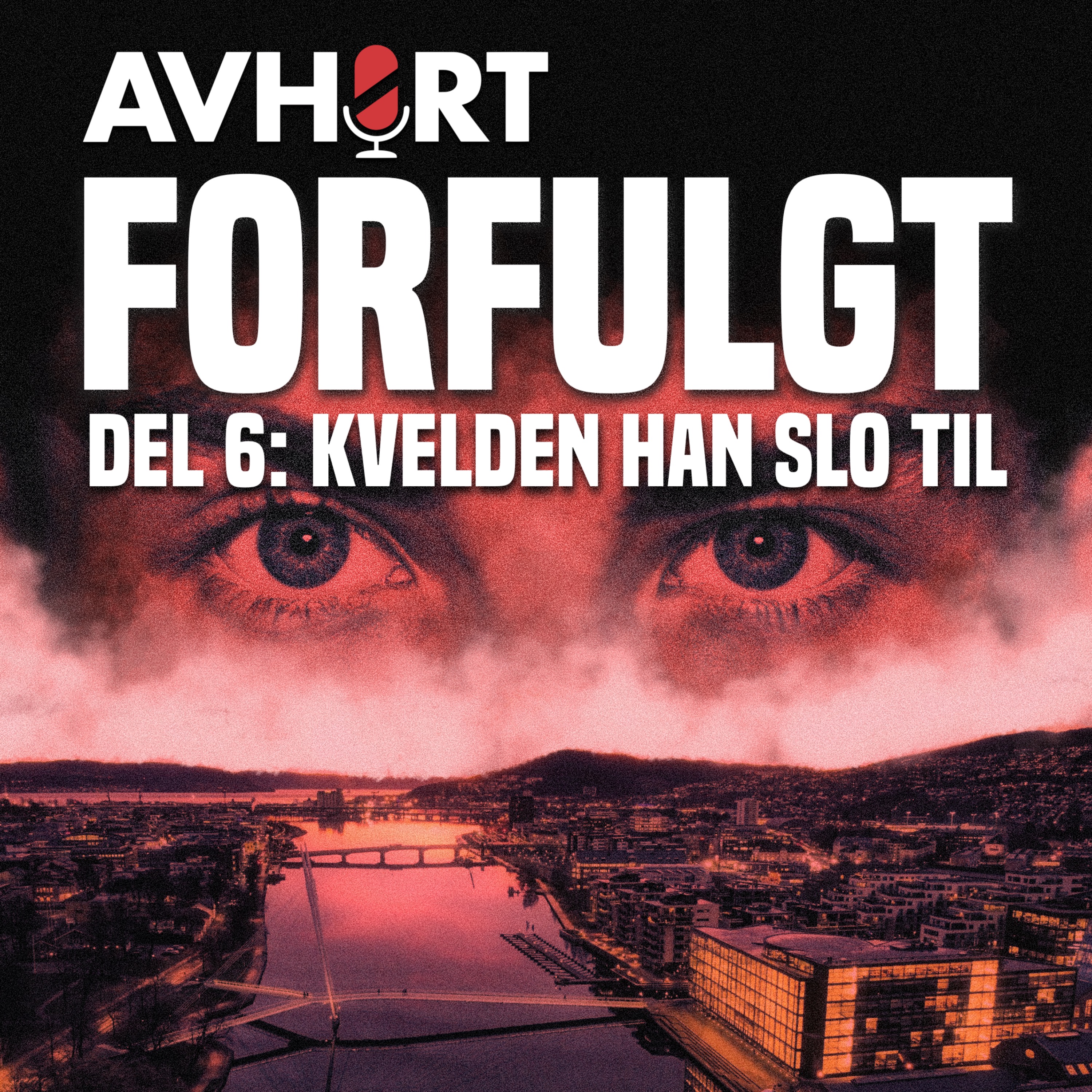 Forfulgt Del 6: Kvelden han slo til