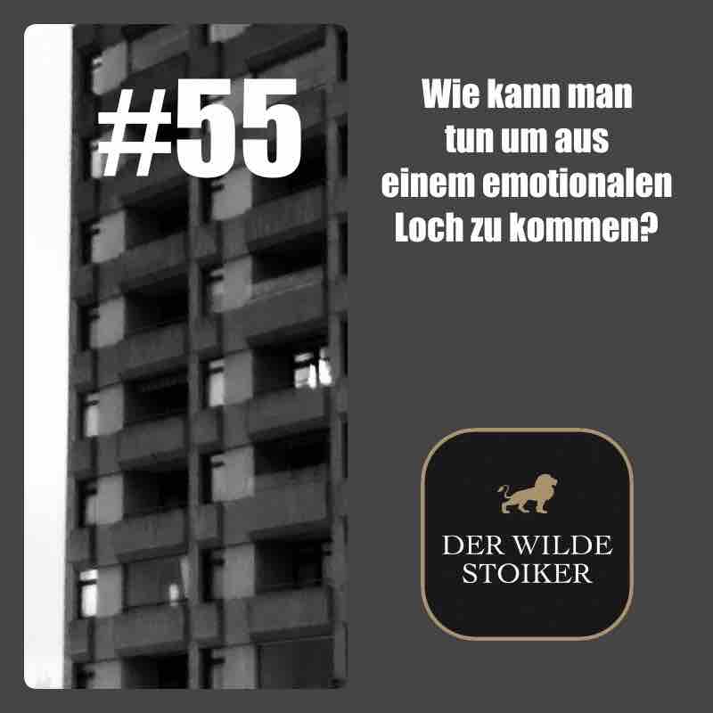 DER WILDE STOIKER