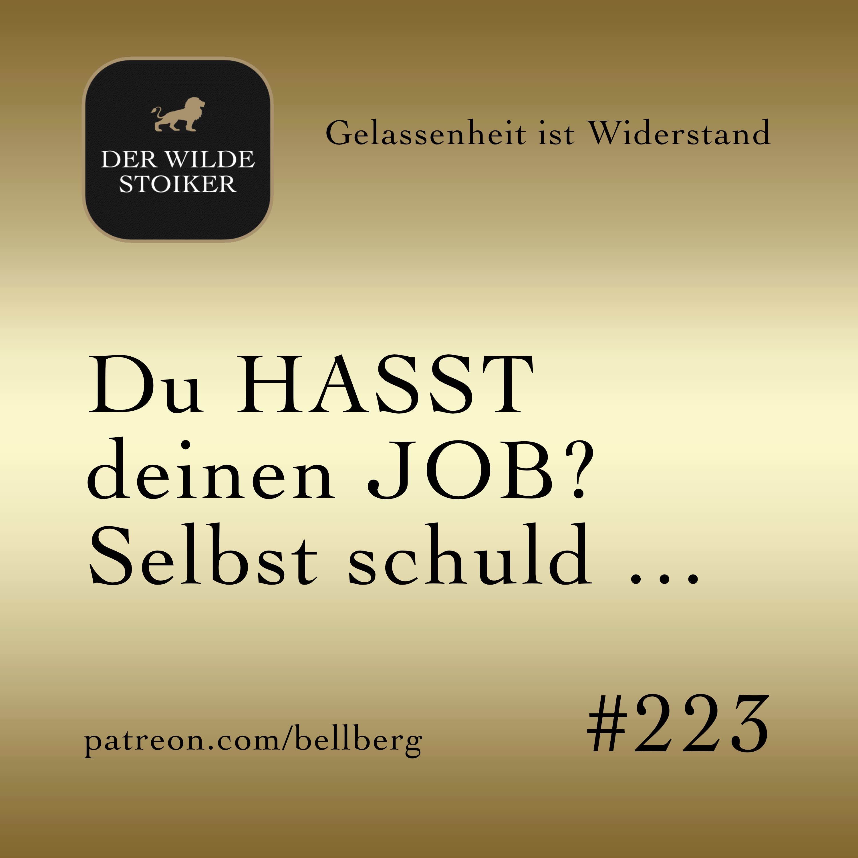 DER WILDE STOIKER – Stoizismus, Gelassenheit und Selbstkontrolle