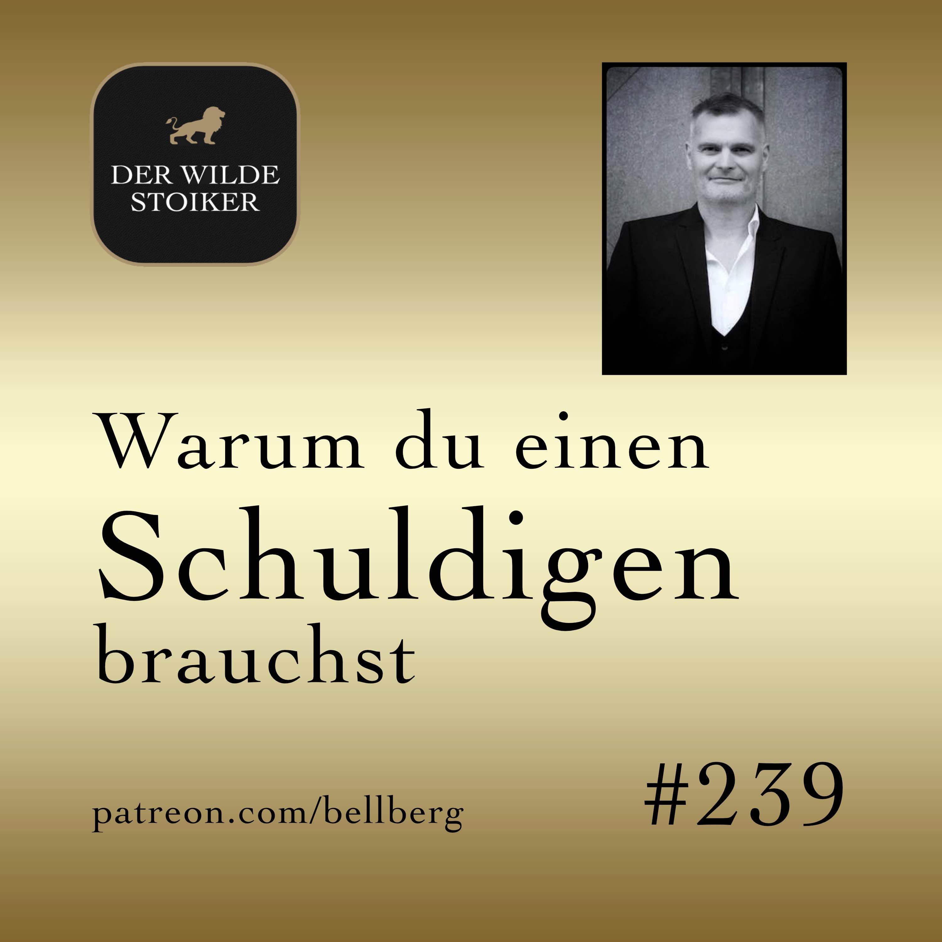 Warum du für jedes Problem einen Schuldigen suchst episode artwork