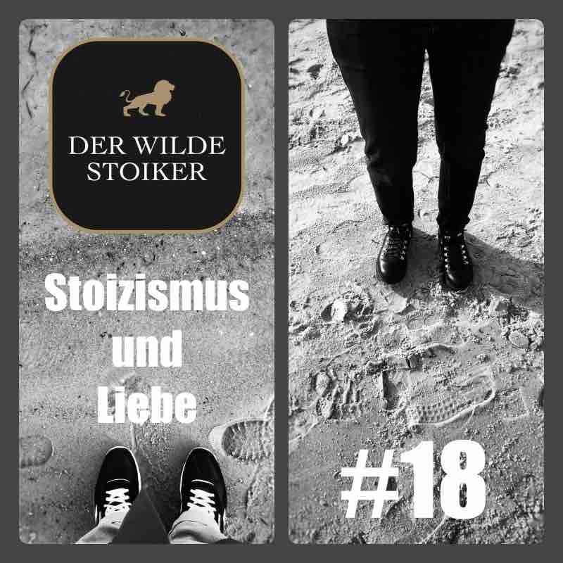 DER WILDE STOIKER