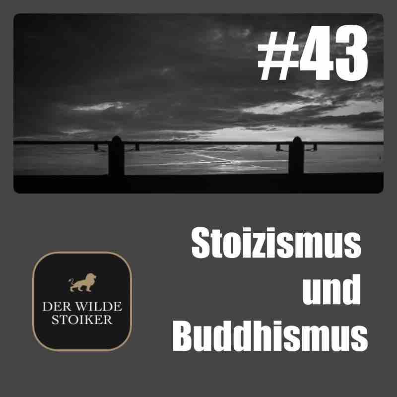 DER WILDE STOIKER