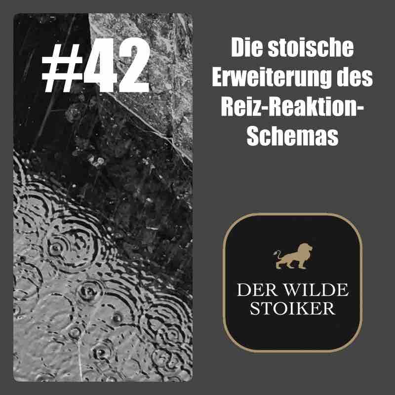 DER WILDE STOIKER