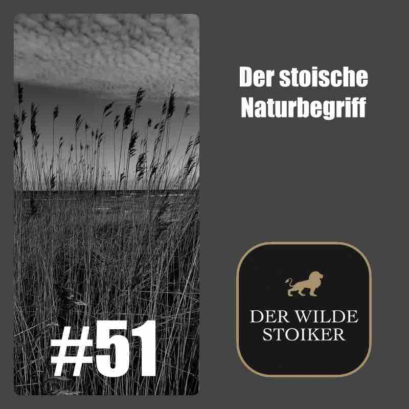 DER WILDE STOIKER