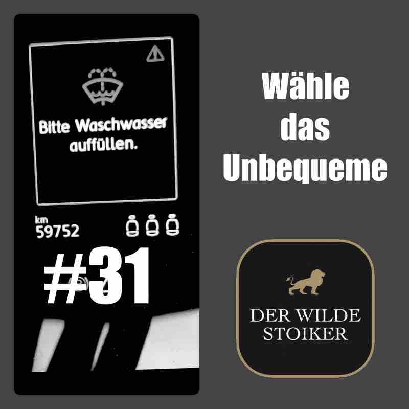 DER WILDE STOIKER