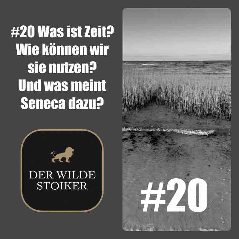 DER WILDE STOIKER