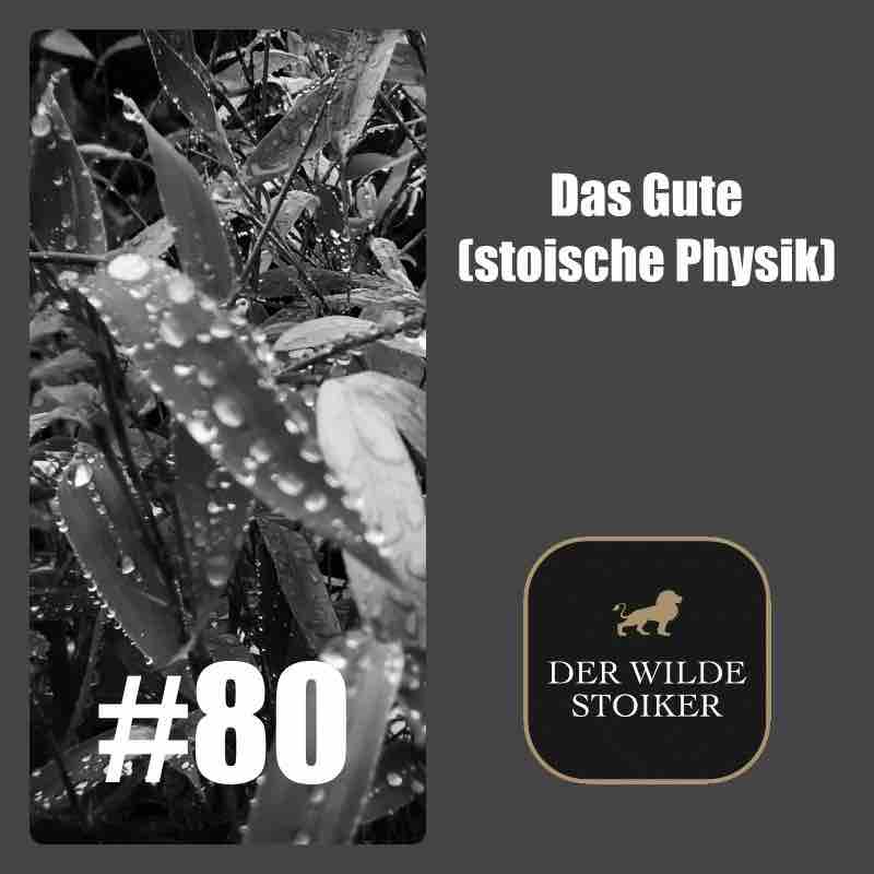 DER WILDE STOIKER