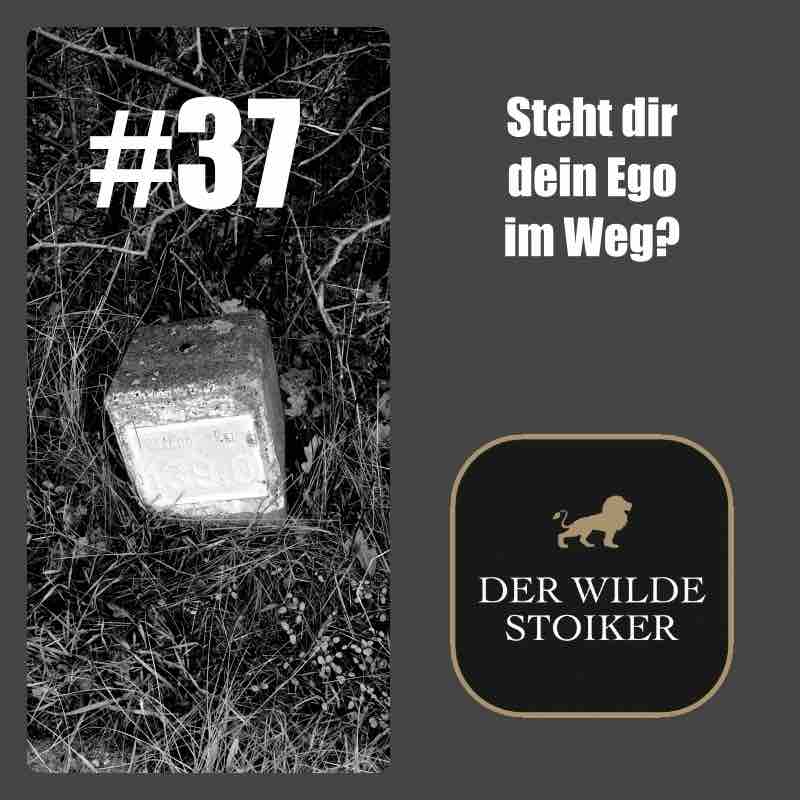 DER WILDE STOIKER