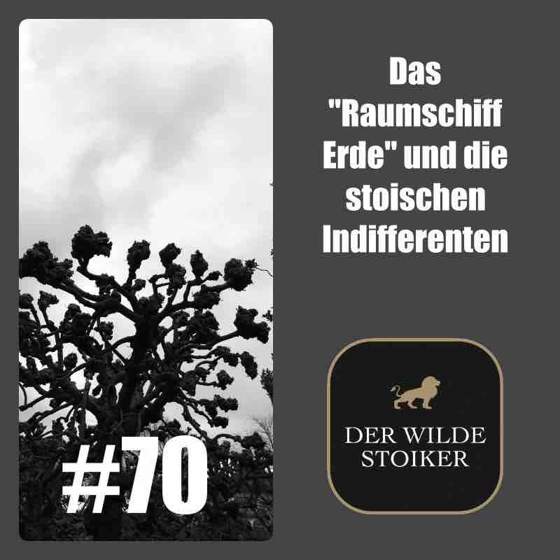 DER WILDE STOIKER