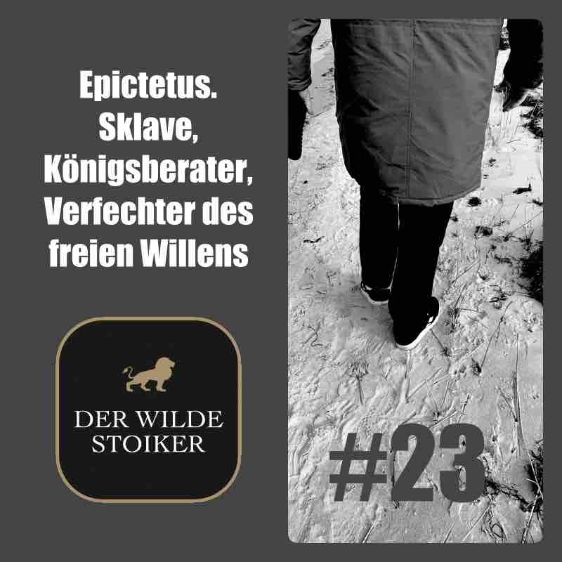 DER WILDE STOIKER